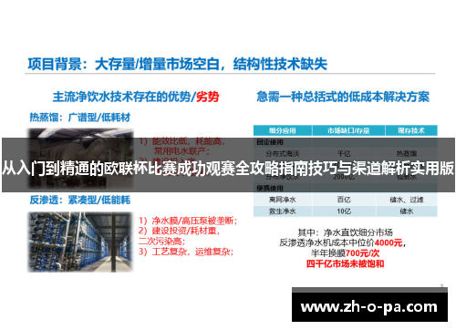 从入门到精通的欧联杯比赛成功观赛全攻略指南技巧与渠道解析实用版