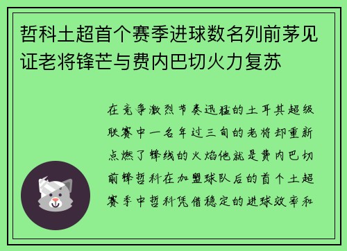 哲科土超首个赛季进球数名列前茅见证老将锋芒与费内巴切火力复苏