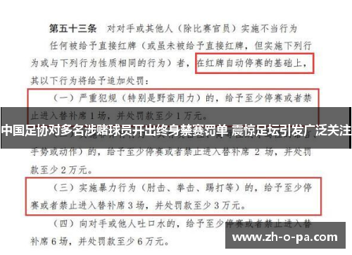 中国足协对多名涉赌球员开出终身禁赛罚单 震惊足坛引发广泛关注 中国足协对多名涉赌球员开出终身禁赛罚单 震惊足坛引发广泛关注
